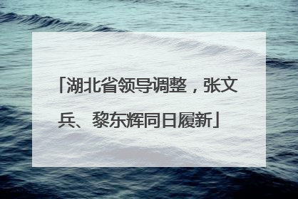 湖北省领导调整，张文兵、黎东辉同日履新